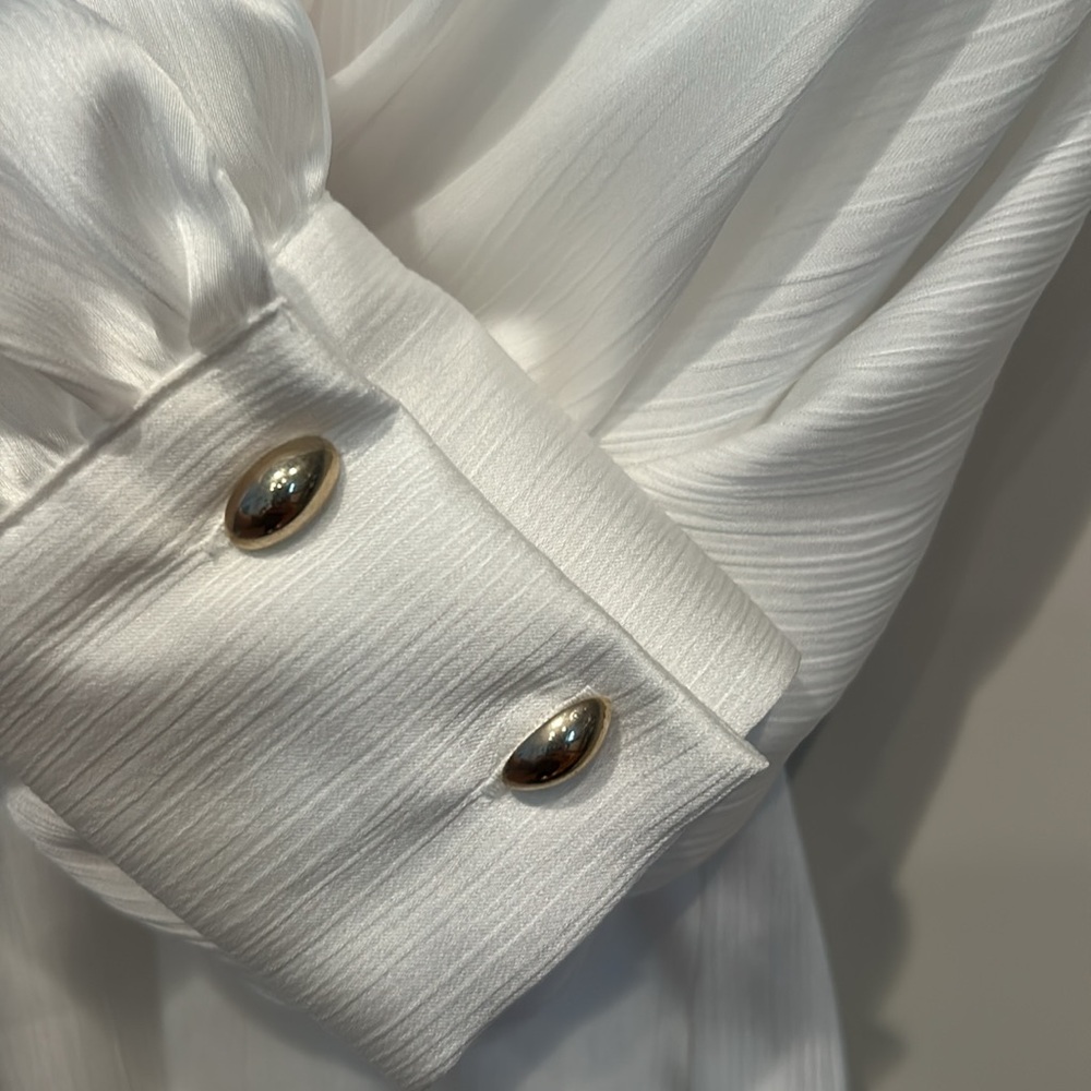 Zara Silk Long Sleeve Tops (3) - Picture 14 of 16